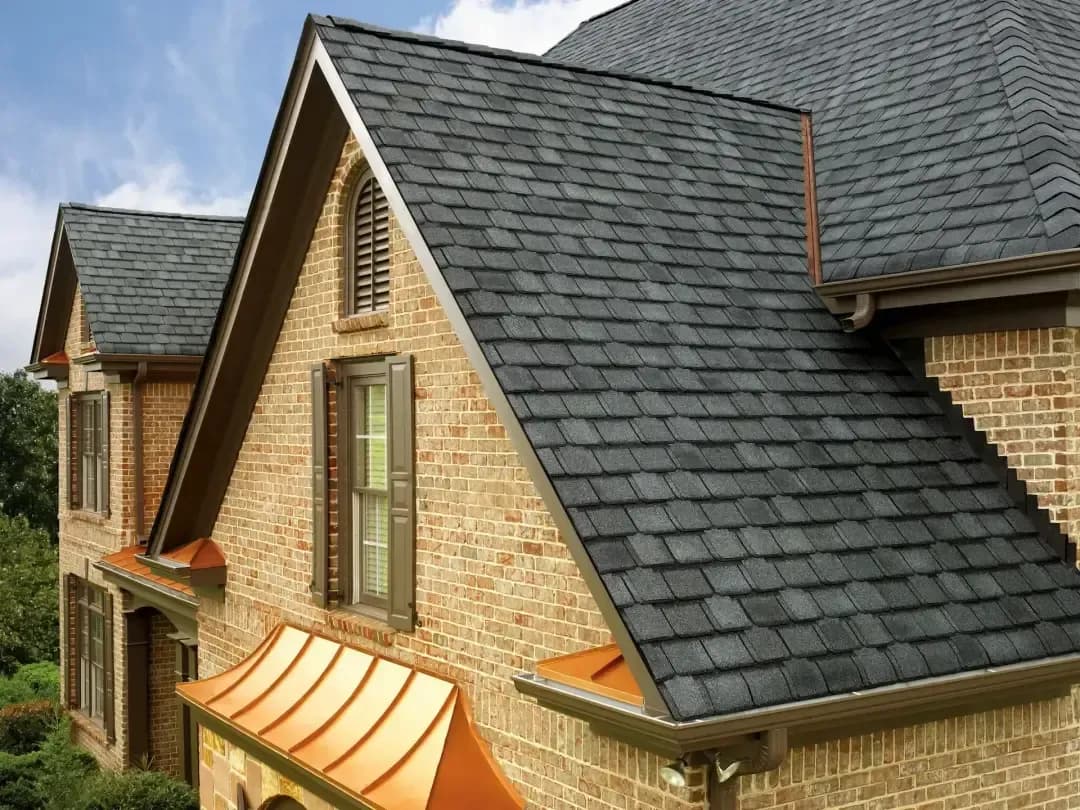 imgi_140_image.webp
