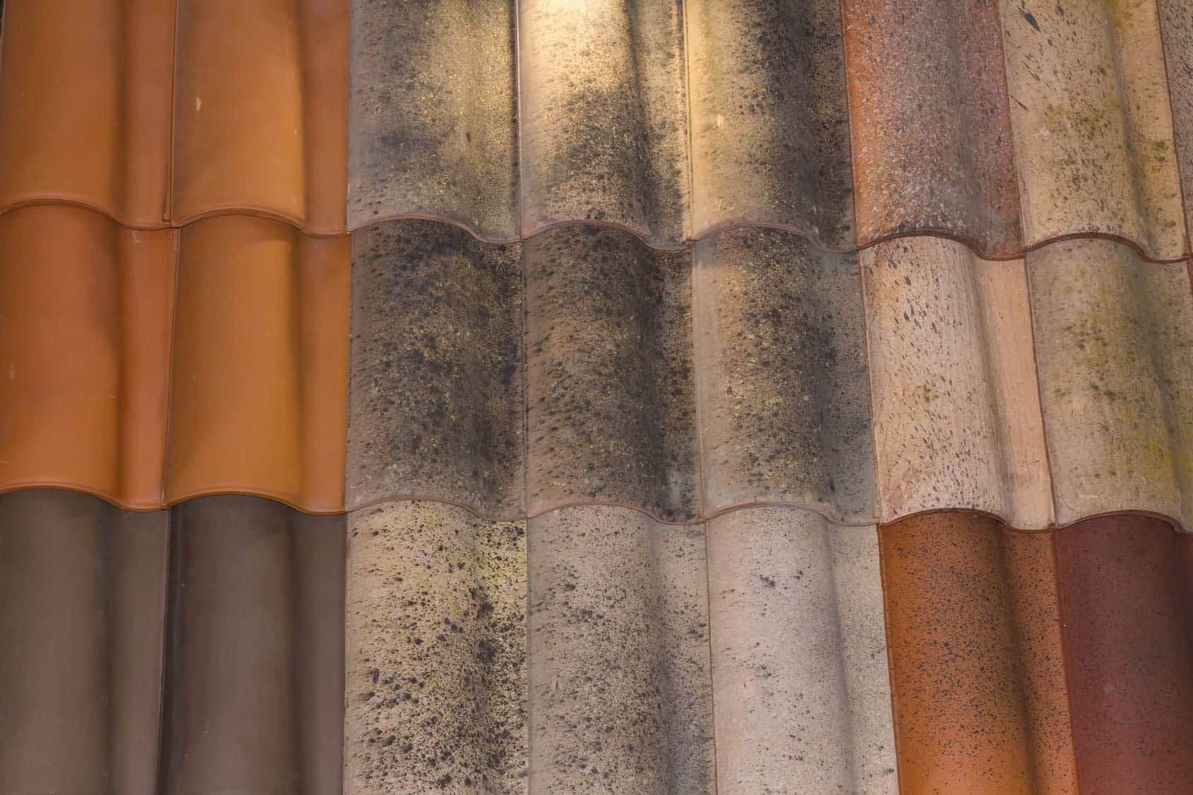 What are the Different Types of Roofs From Virginia Beach Contractors